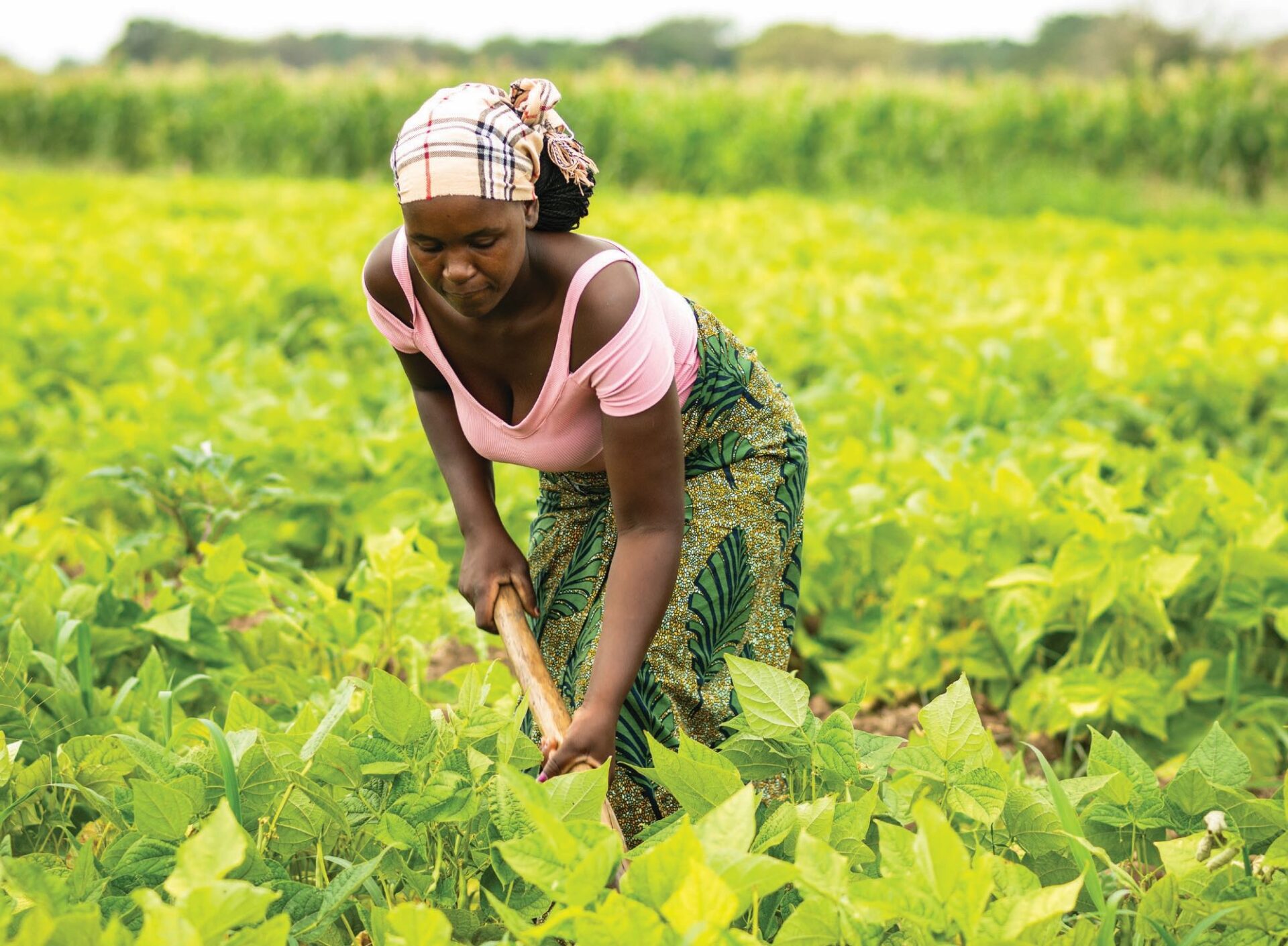 Da Sobrevivência à Prosperidade: A Nova História de Xitlhango