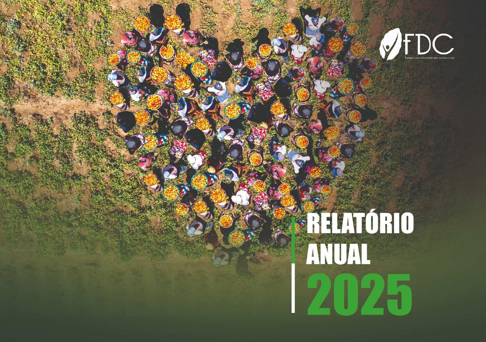 Relatório Anual 2025